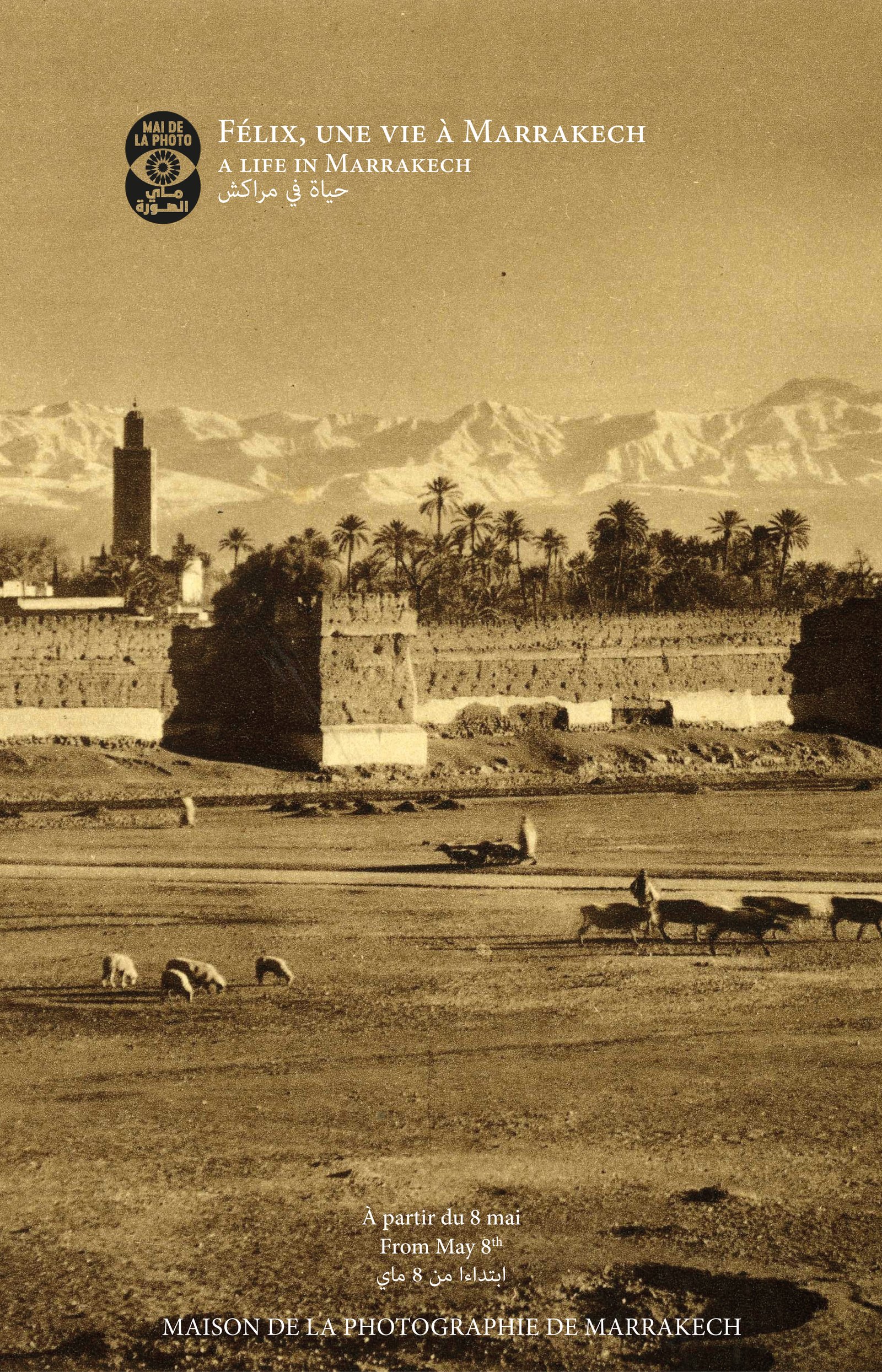 FÃ©lix, une vie Ã  Marrakech