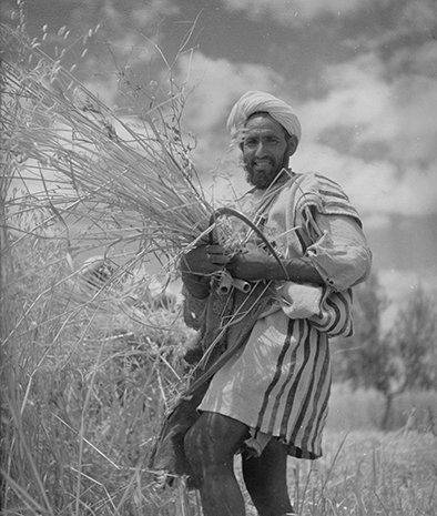 Denise Bellon Moissonneur, MeknÃ¨s Circa 1930